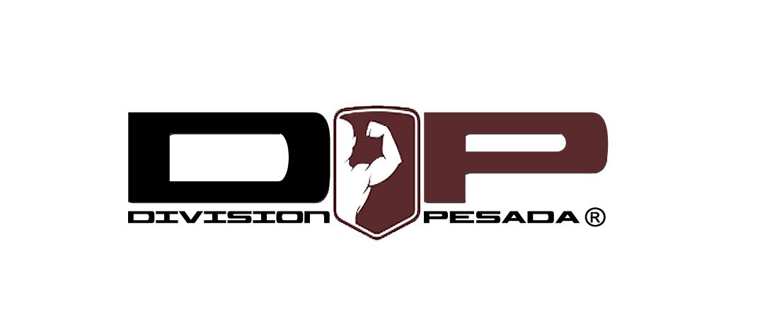 DIVISION PESADA OK